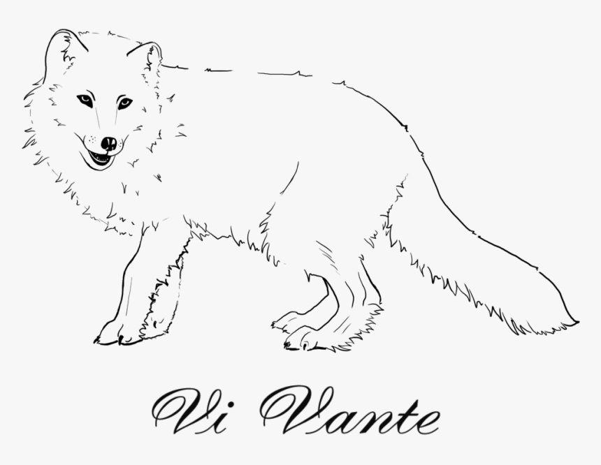 Arctic Fox Sticker, HD Png Download, Free Download