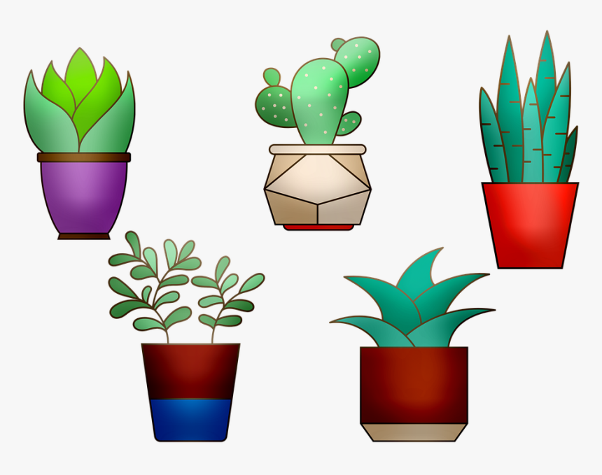 House Plants, Cactus, Flowerpot, Plant, Green, House - Houseplant, HD Png Download, Free Download