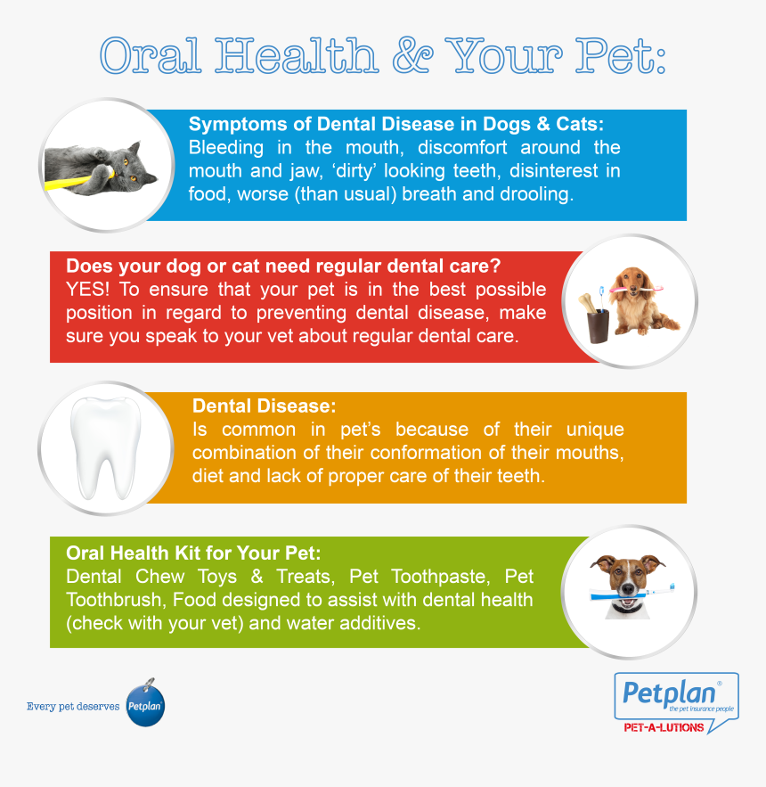 Pet Oral Health, HD Png Download, Free Download