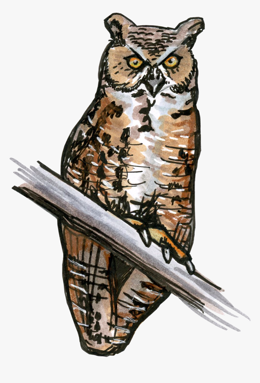 Great Horned Owl Transparent, HD Png Download, Free Download