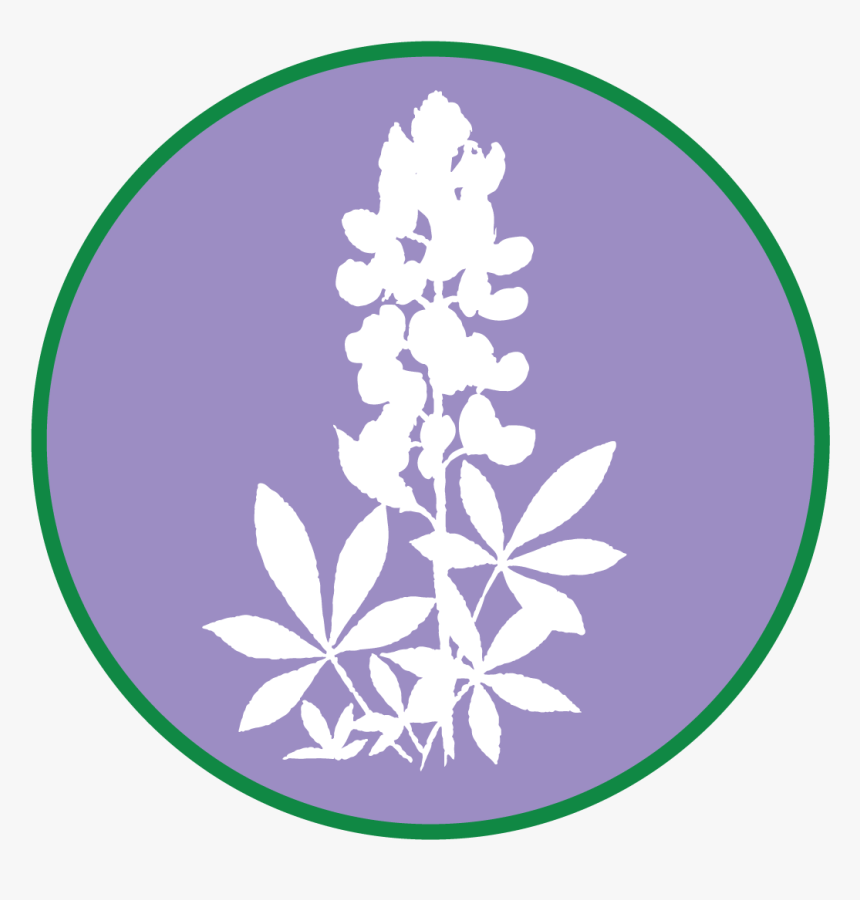 Illustration , Png Download - Bluebonnet Silhouette, Transparent Png, Free Download