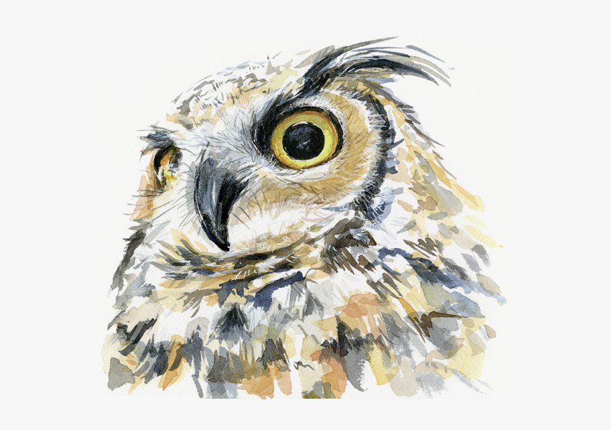 Great Horned Owl Art, HD Png Download, Free Download