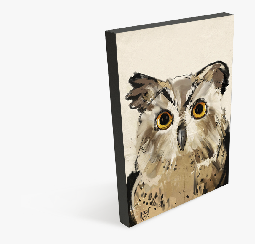 Owl, HD Png Download, Free Download