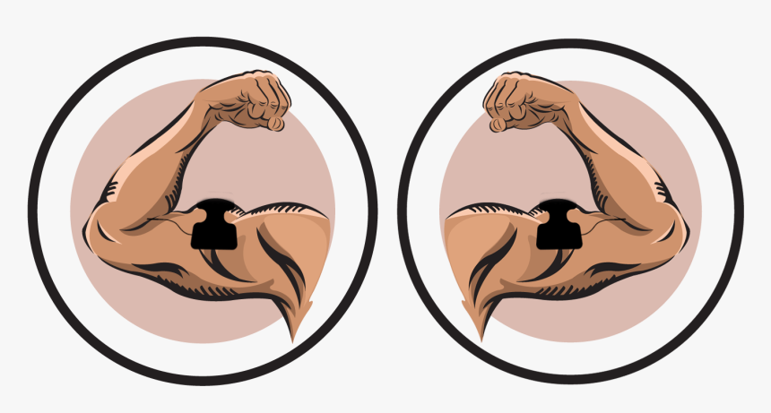 Biceps Electrode Pad Placement - Tens Unit Pad Placement Neck, HD Png Download, Free Download