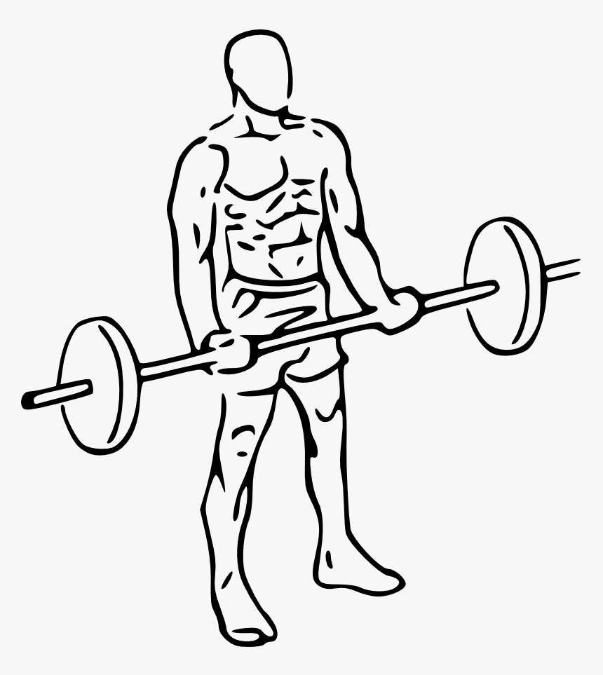 "
 Class="gallery-image - Bicep Curls Png, Transparent Png, Free Download