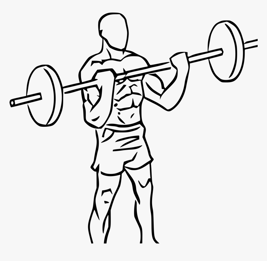 Biceps Curl Png, Transparent Png, Free Download