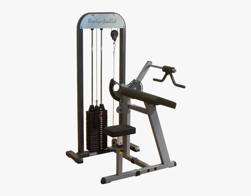 Biceps And Triceps Machine, HD Png Download, Free Download