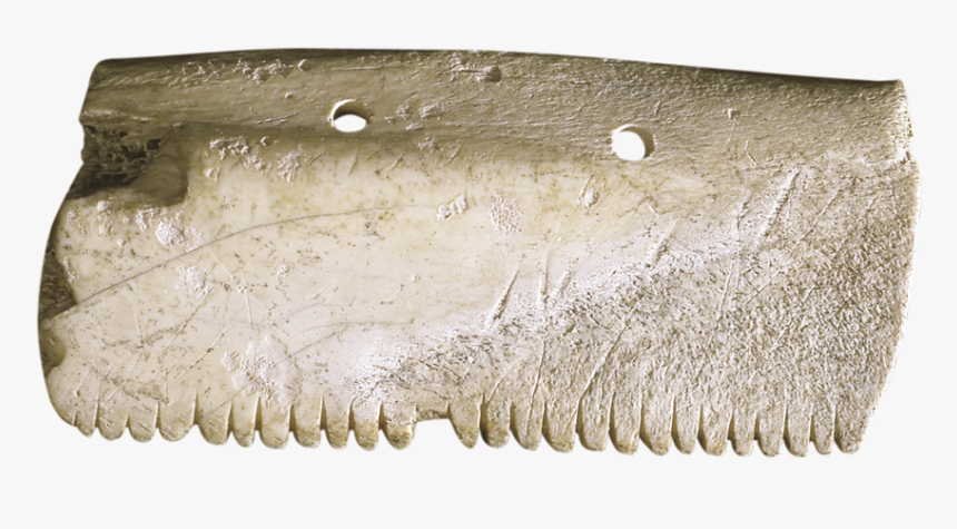 Carving, HD Png Download, Free Download