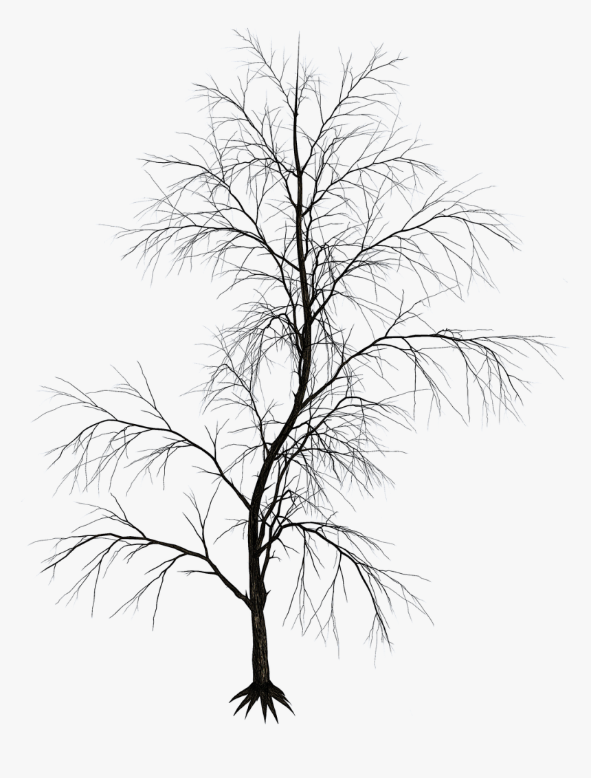 95+ Stunning Aesthetic Tree Drawing Draft | tayyab branch