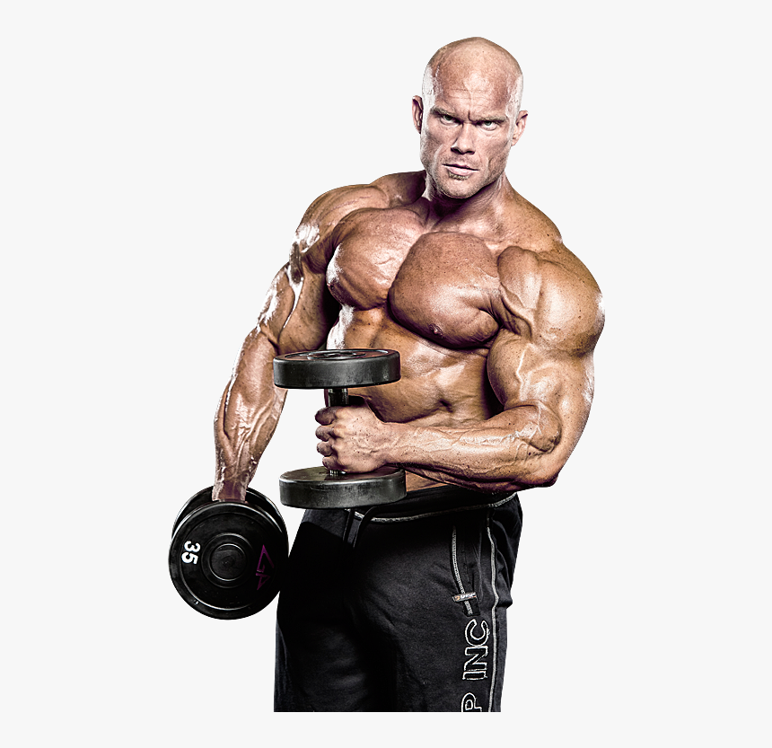 Bodybuilding Png - Bodybuilding On Testosterone, Transparent Png, Free Download