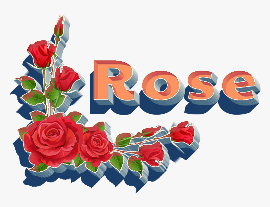 Transparent Rose Png - Garden Roses, Png Download, Free Download