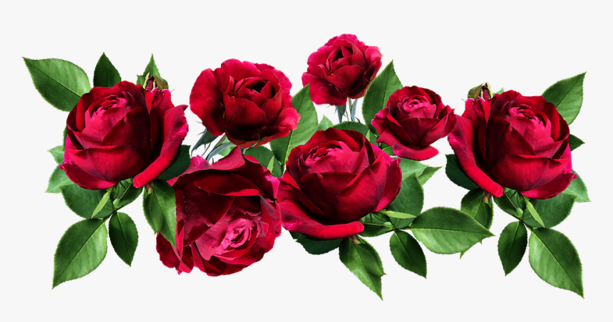 Roses, Flowers, Red, Romantic, Garden, Perfume, Cut - T-shirt, HD Png Download, Free Download