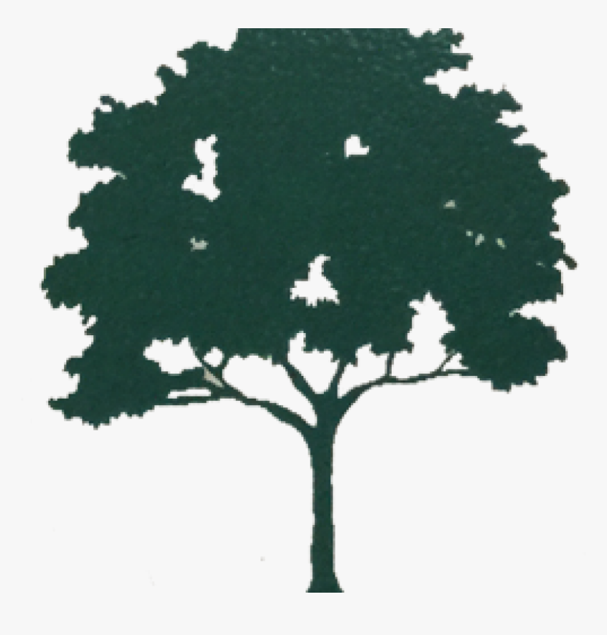 African Tree Clip Art , Png Download - African Tree Clip Art, Transparent Png, Free Download