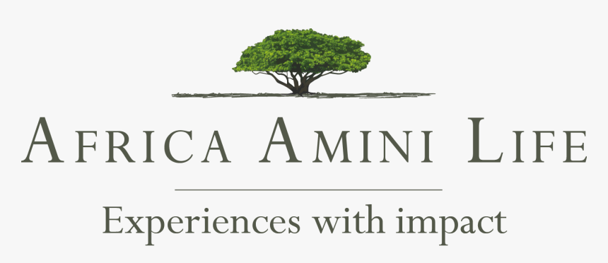 Africa Amini Life - Tree, HD Png Download, Free Download