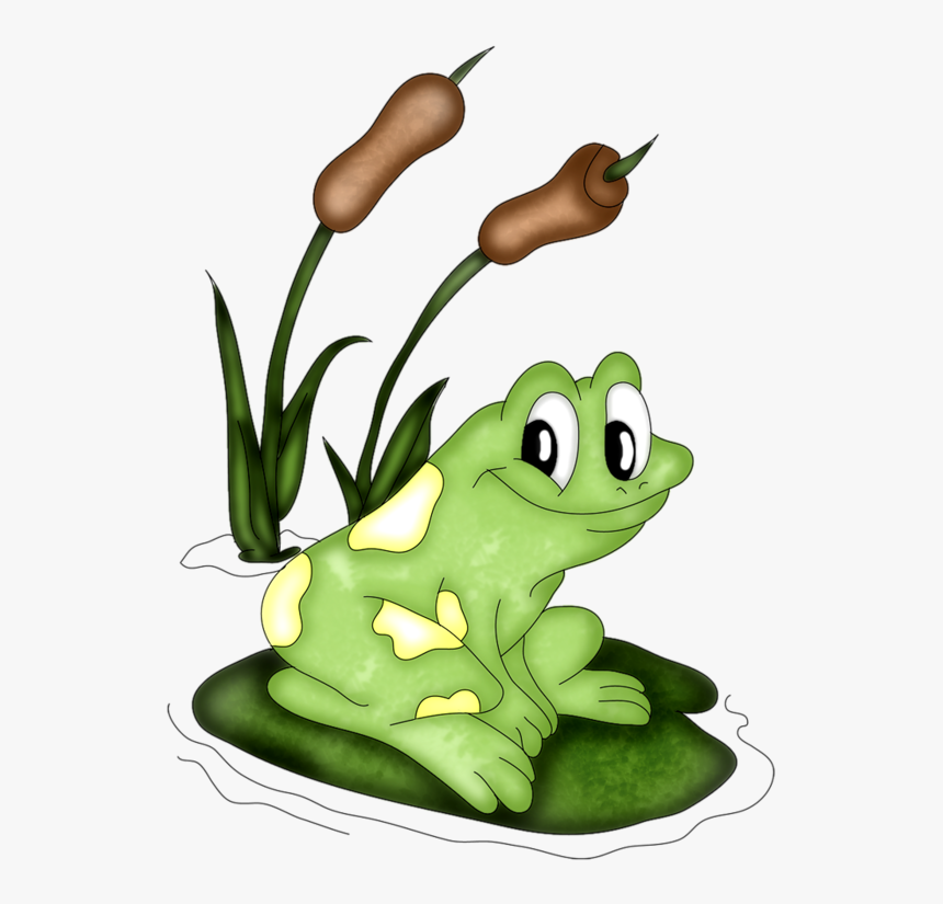Frog Tube Clipart, HD Png Download, Free Download