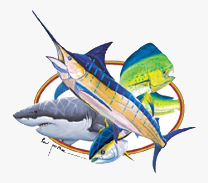 Marlin, Mahi Mahi, Shark, And Tuna Printed T-shirt"
 - Marlin Shark And Mahi Mahi, HD Png Download, Free Download
