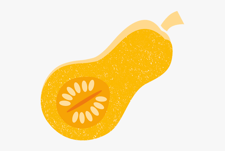 Butternut Squash, HD Png Download, Free Download