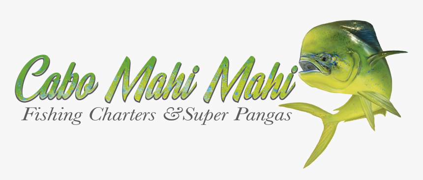 Cabo Mahi Mahi - Calligraphy, HD Png Download, Free Download