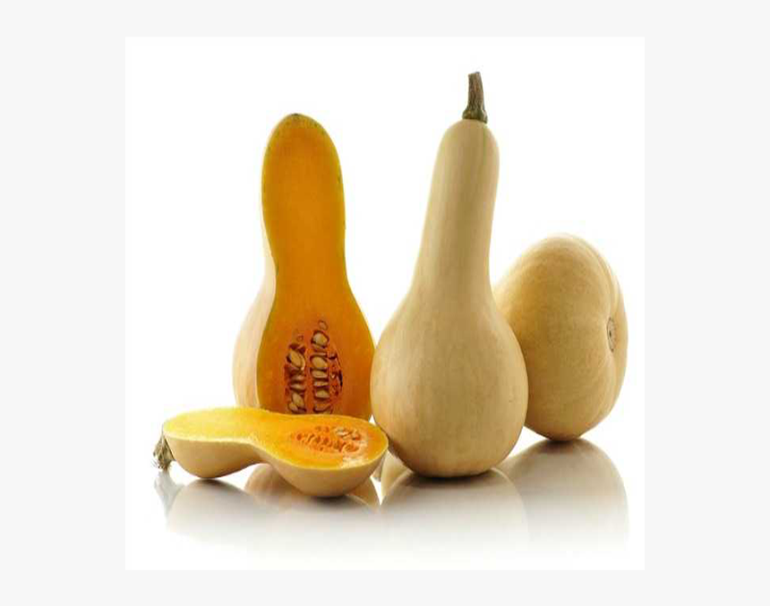 Butternut Squash, HD Png Download, Free Download