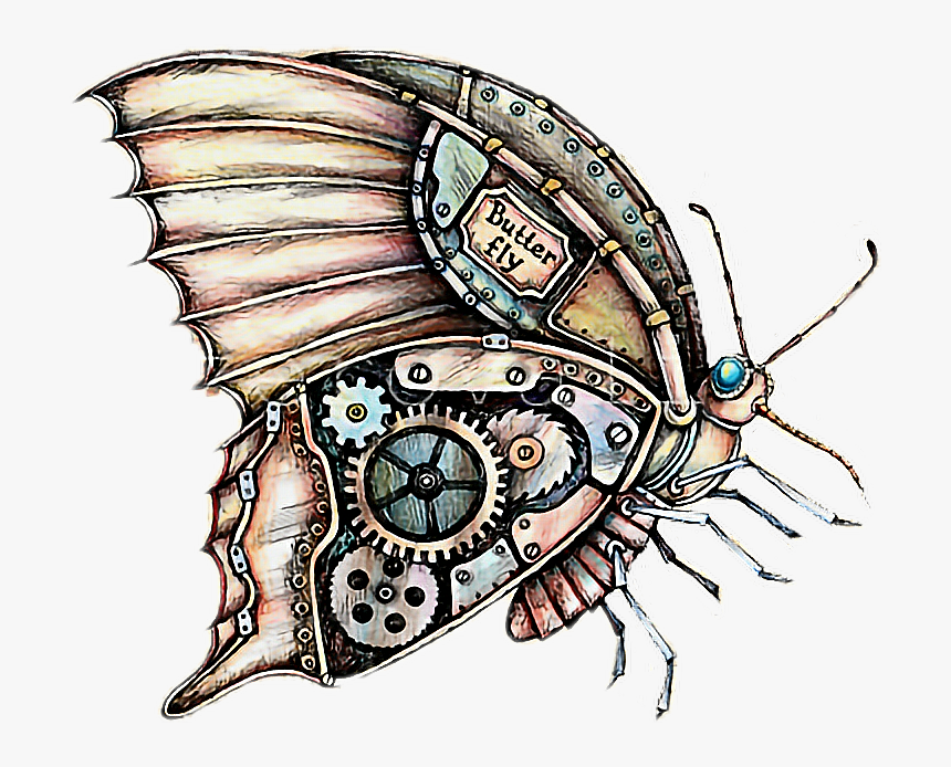 #butterfly #steampunk #freetoedit - Steampunk Butterfly Drawing, HD Png Download, Free Download