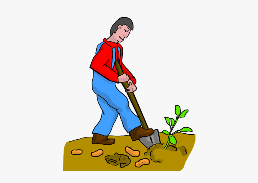 Sweet Potato Digging Dig Pota - Dig Png, Transparent Png, Free Download