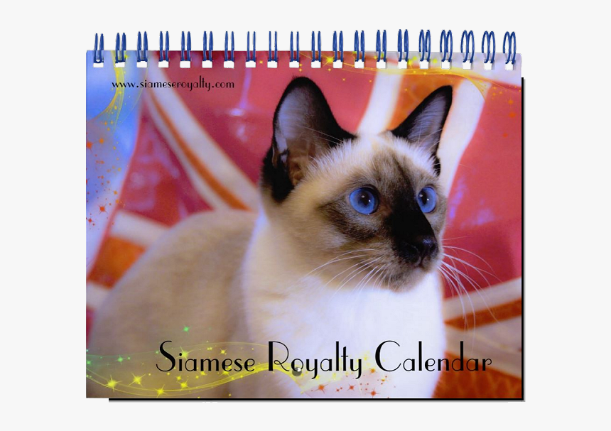 Siamese, HD Png Download, Free Download