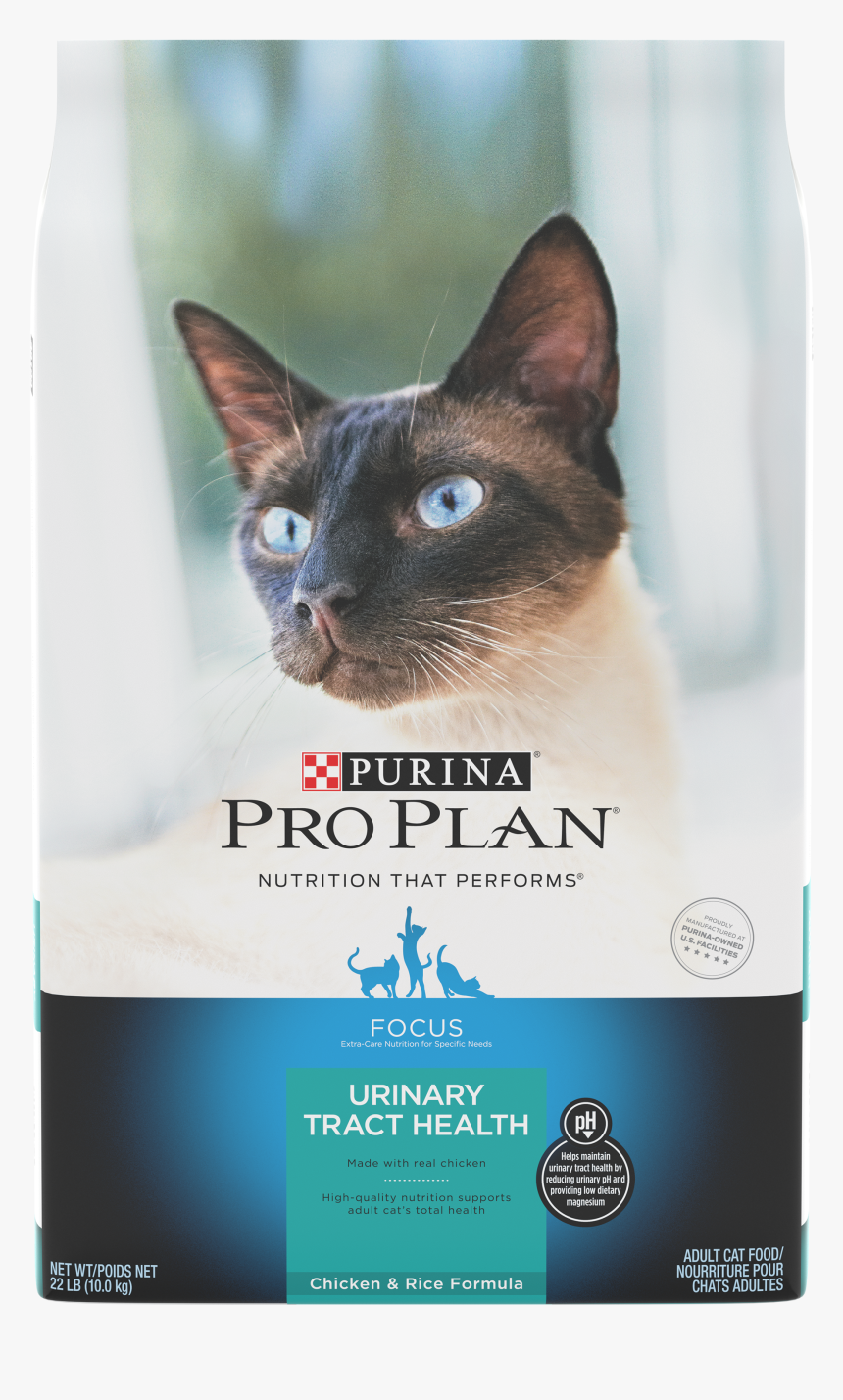 Siamese Cat Png, Transparent Png, Free Download