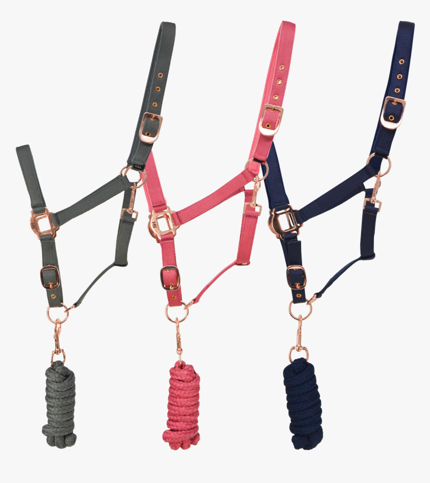 Head Collar And Lead Rope, HD Png Download, Free Download