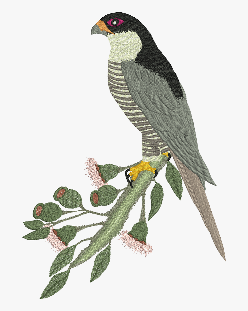 Machine Embroidery Design Peregrine - Falcon, HD Png Download, Free Download