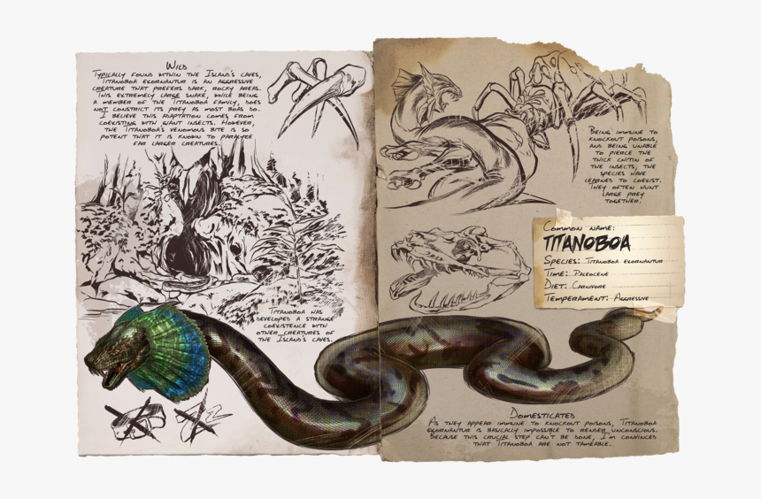 Titanoboa Ark, HD Png Download, Free Download