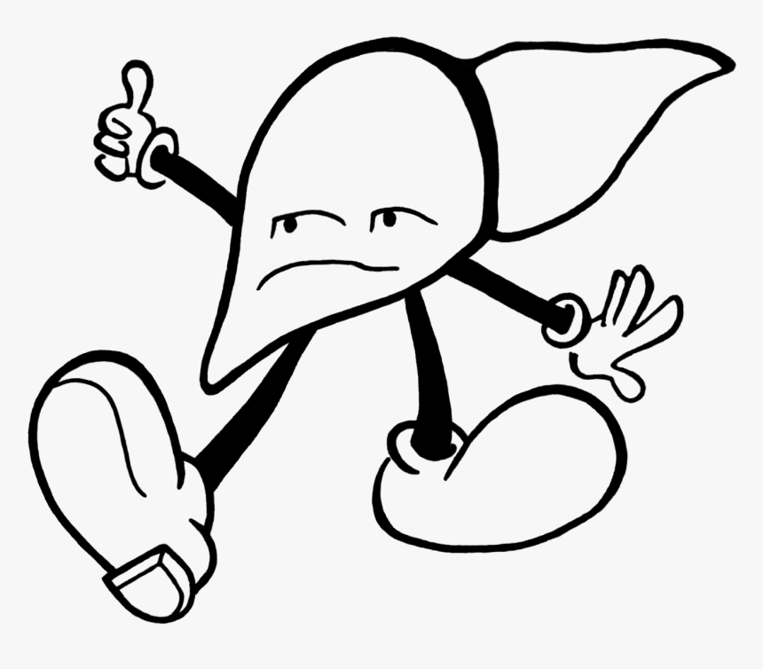 Liver Hitchhiking, HD Png Download, Free Download