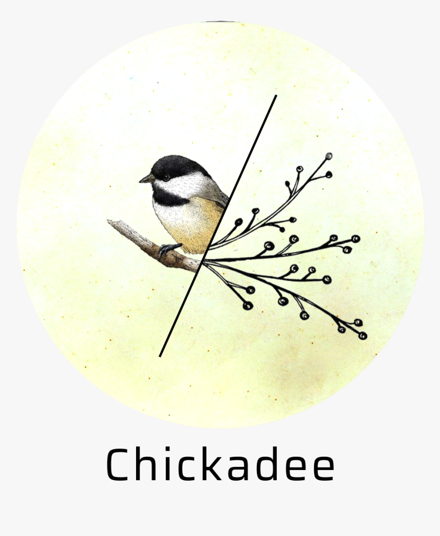 Transparent Chickadee Png - Black Capped Chickadee, Png Download, Free Download
