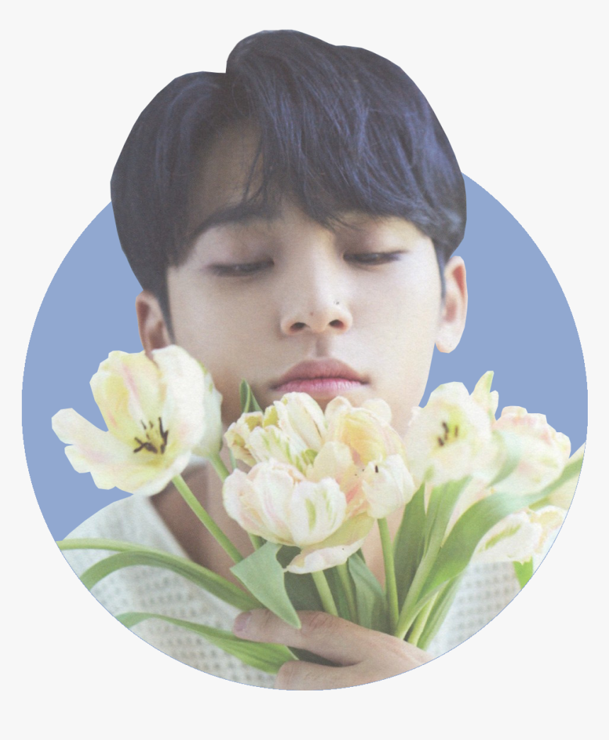 ☆ Rose Quartz And Serenity Mingyu Icons 2 ☆
like/reblog - Mingyu Flowers, HD Png Download, Free Download