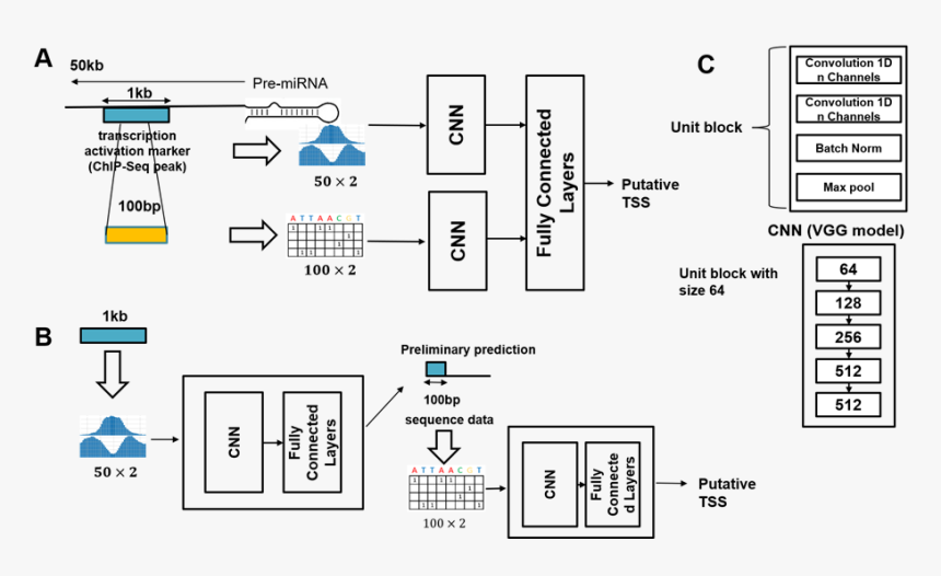 Diagram, HD Png Download, Free Download