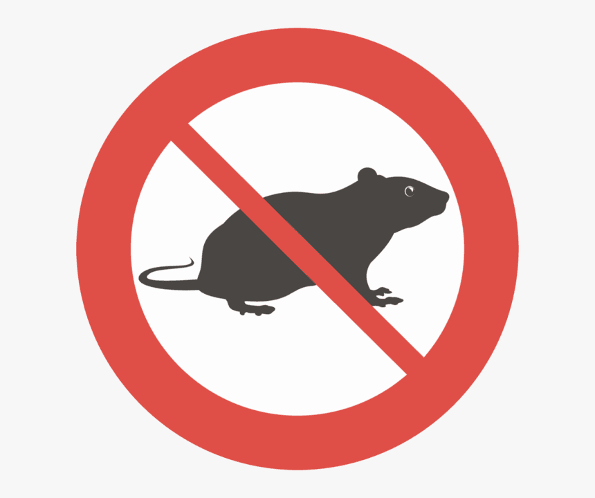 Rodent Clipart Pest Control - Rats Pest Control Png, Transparent Png, Free Download