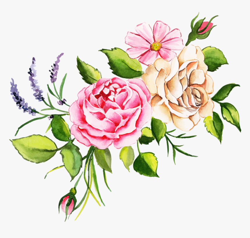 Garden Roses, HD Png Download, Free Download