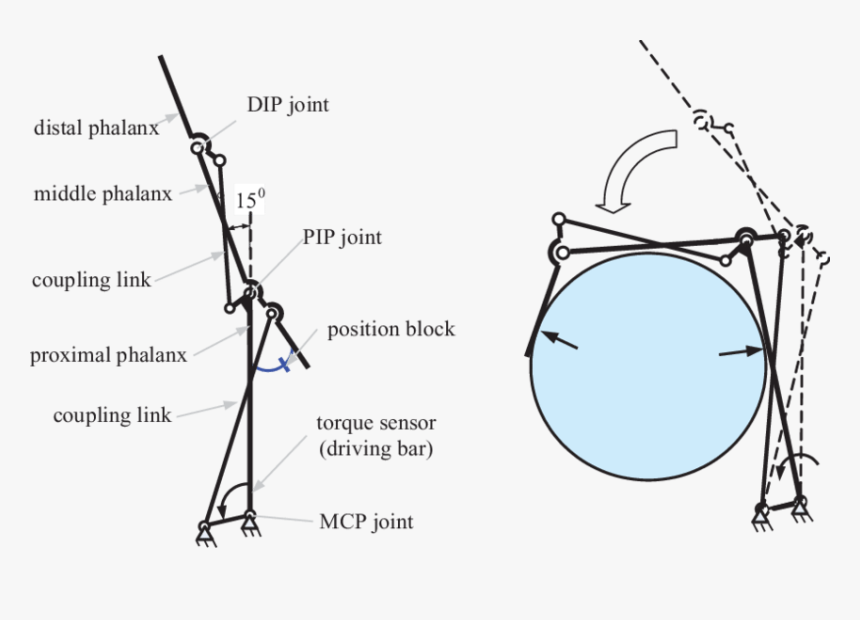 Diagram, HD Png Download, Free Download