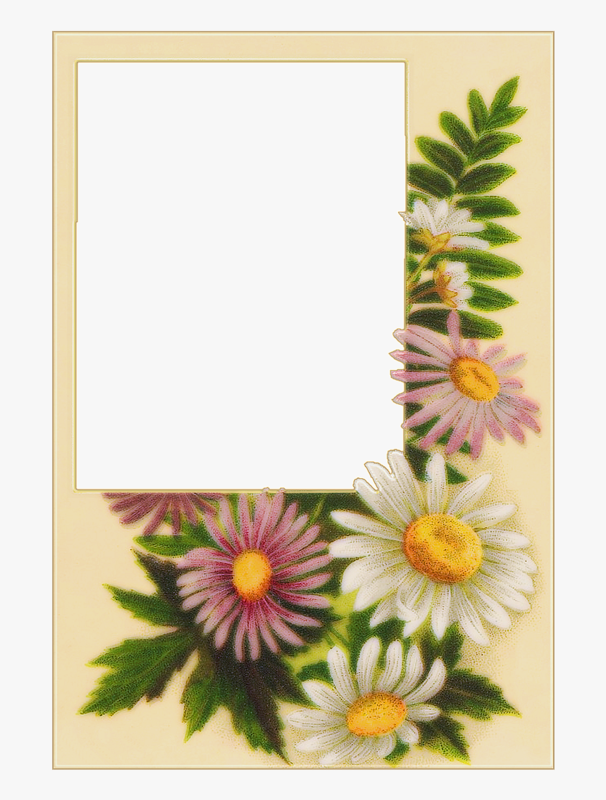 Sunflower Wedding Frame With Transparent Background, HD Png Download, Free Download