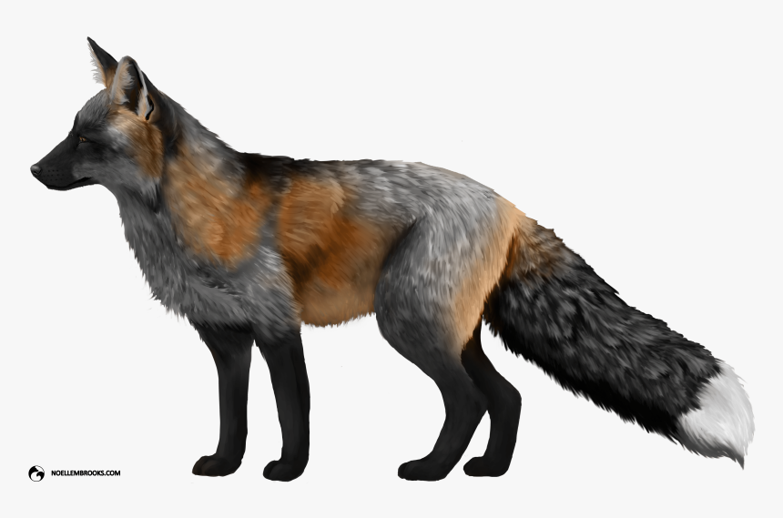 Pet Silver Red Fox, HD Png Download, Free Download