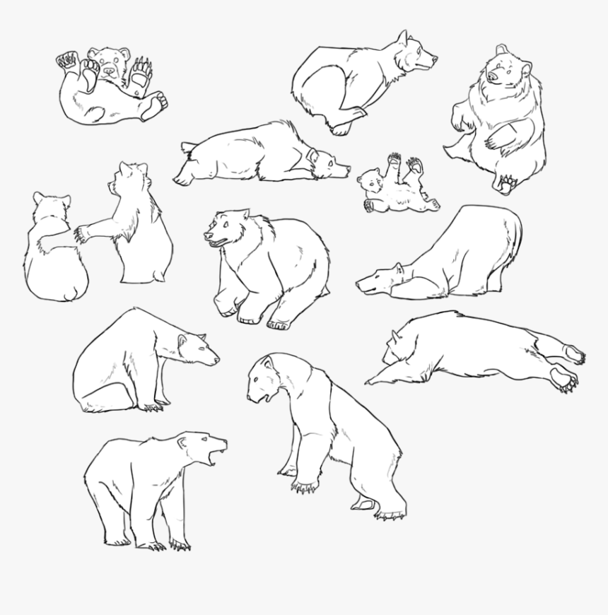 Bear tattoo Vector Art Stock Images  Depositphotos