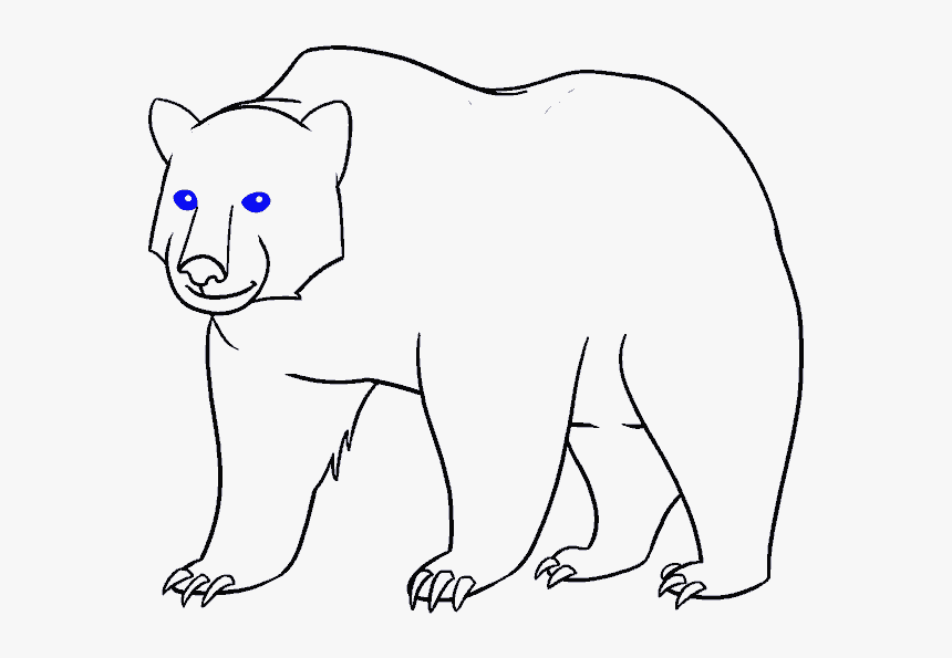 Drawn Bear Outline - Line Art, HD Png Download, Free Download