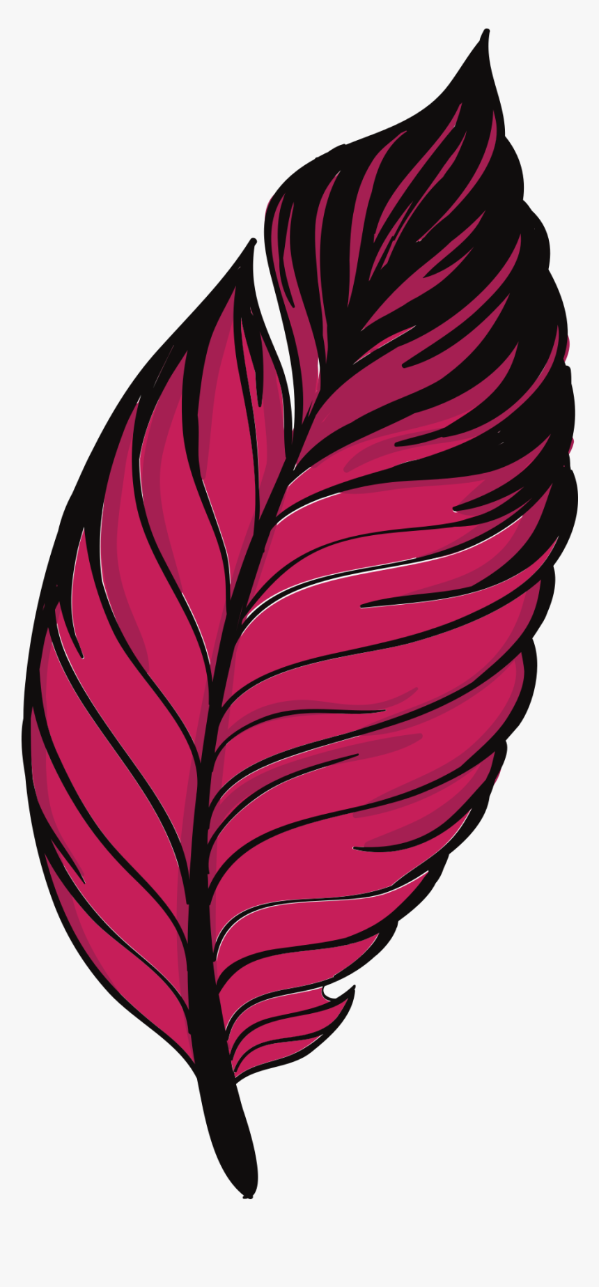 Transparent Feather Outline Clipart - Feather, HD Png Download, Free Download