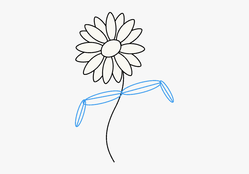 How To Draw A - Draw A Daisy Easy, HD Png Download, Free Download
