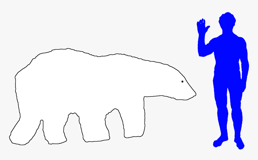 Polar Habitat Loss Transparent - Medidas Del Oso Polar, HD Png Download, Free Download