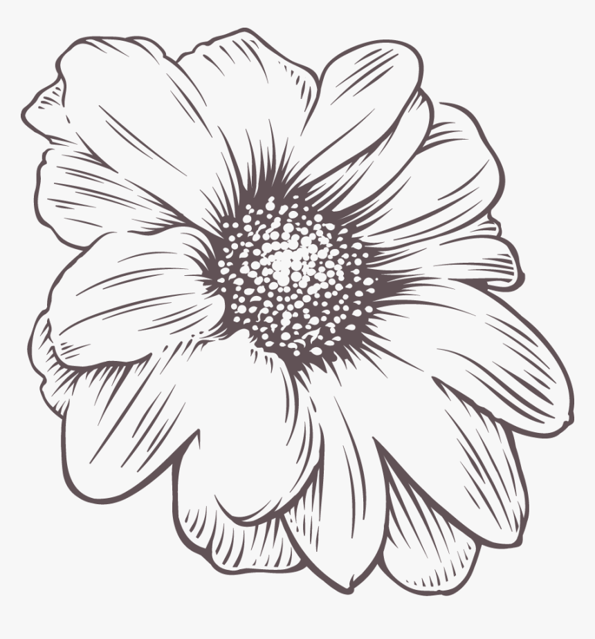 Black Outline Flower - Old Fashioned Flower Sketch, HD Png Download, Free Download