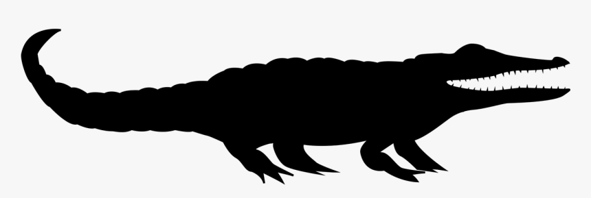 Tyrannosaurus Alligators Clip Art Beak Fauna, HD Png Download, Free Download