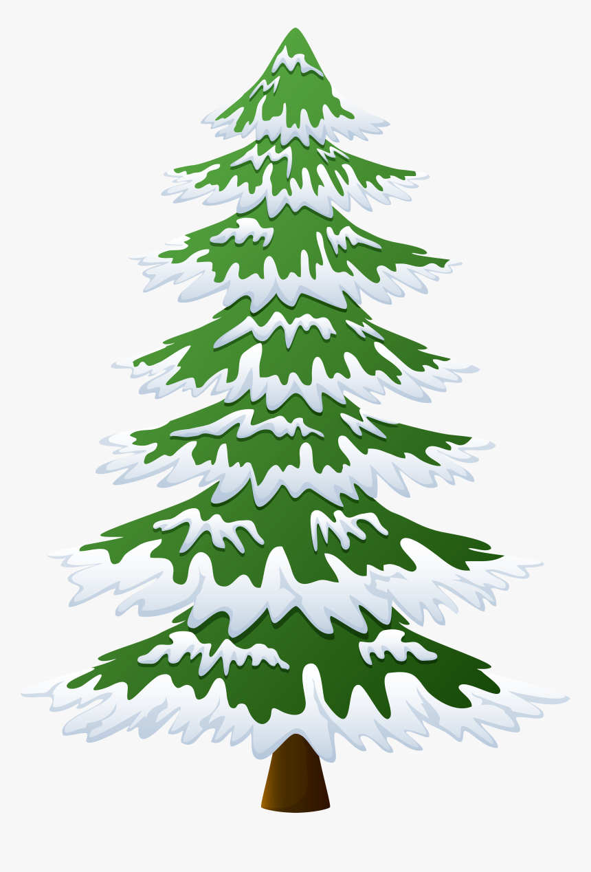 Snow Covered Pine Trees Clipart, HD Png Download, Free Download