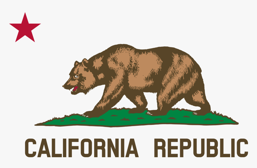 Clip Art How To Draw The California Bear - California State Flag Png, Transparent Png, Free Download