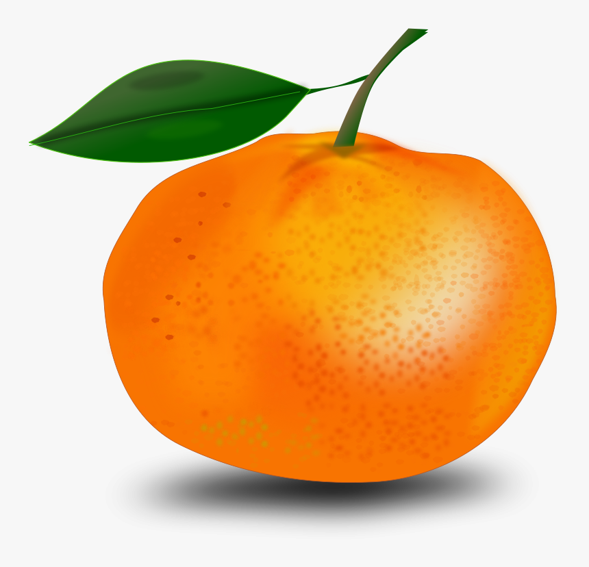 Orange Clipart Clear Background, HD Png Download, Free Download