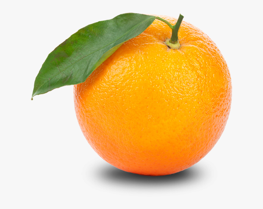 Orange Hd Png Transparent Orange Hd - Single Fruits And Vegetables, Png Download, Free Download